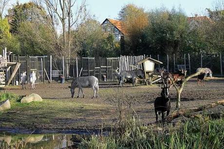 Denmark – Odense Zoo