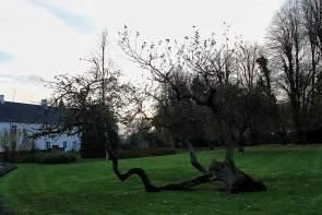 IMG_3671_Snapseed Denmark – Exploring Central Funen