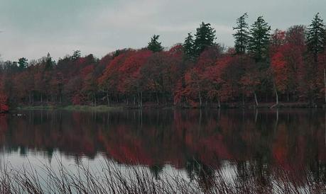 IMG_3658_Snapseed2 Denmark – Exploring Central Funen