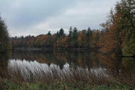 IMG_3655_Snapseed Denmark – Exploring Central Funen
