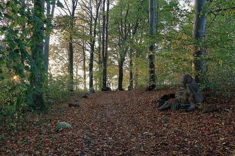 IMG_3679_Snapseed Denmark – Exploring Central Funen