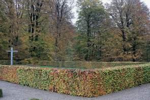 IMG_3660_Snapseed Denmark – Exploring Central Funen