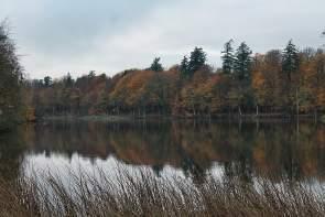 IMG_3658_Snapseed Denmark – Exploring Central Funen