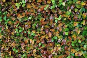 IMG_3663_Snapseed Denmark – Exploring Central Funen