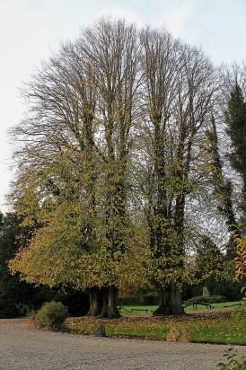 IMG_3677_Snapseed Denmark – Exploring Central Funen