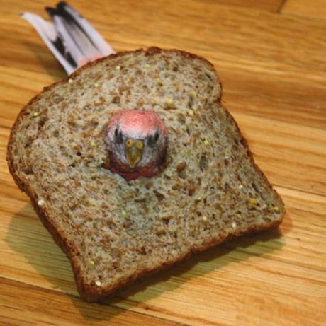 Top 10 Funny Images of Animal Breading