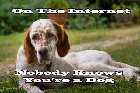 On the Internet Nobody Knows You're a Dog