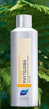 phyto shampoo