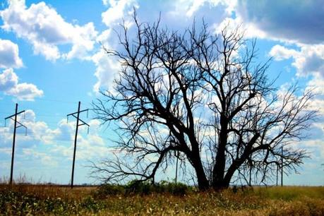 Warrego Highway, Queensland