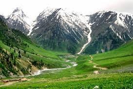 meadow of gold - Sonmarg