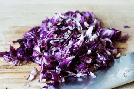 Chinese Dumplings: radicchio, beef and mint!