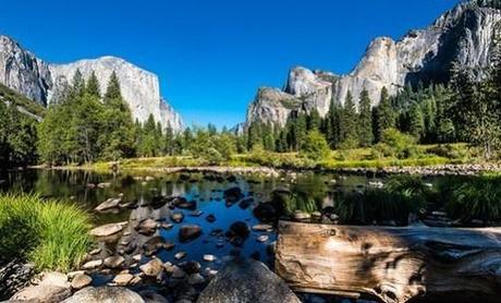 The Effects of Noise Pollution on National Parks and Wildlife