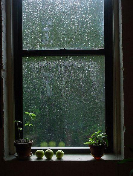 rainy window