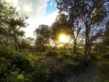 A Self-Supported Ultramarathon to start the New Year - Cooloola Great Walk