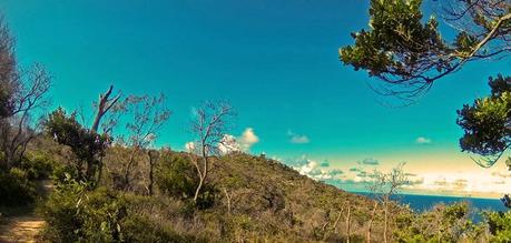 A Self-Supported Ultramarathon to start the New Year - Cooloola Great Walk