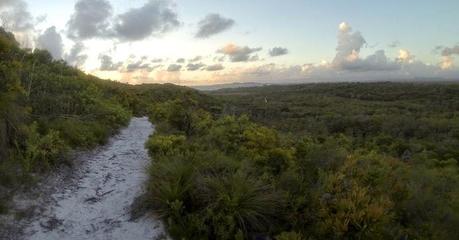 A Self-Supported Ultramarathon to start the New Year - Cooloola Great Walk