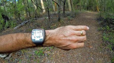 A Self-Supported Ultramarathon to start the New Year - Cooloola Great Walk