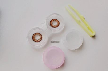 [Klenspop] Lenspop Bunny Color Brown Circle Lens Review