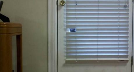 Top 10 Cats Peeking Through Blinds