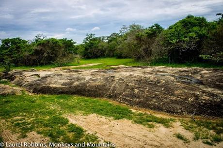 Ayu in the Wild knows the secret spots that leopard love - outside of Yala, in Sri Lanka, like this sunning rock.