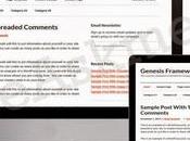 Genesis Theme Framework Best WordPress