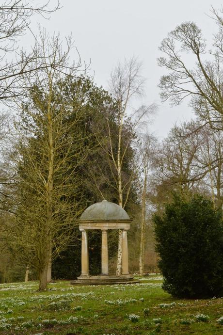 Buckminster snowdrops