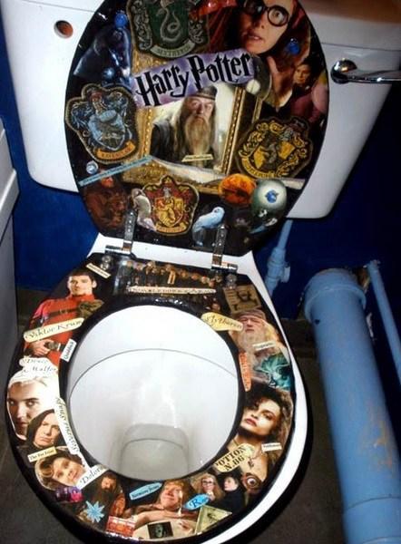 Top 10 Amazing and Unusual Toilet Seats