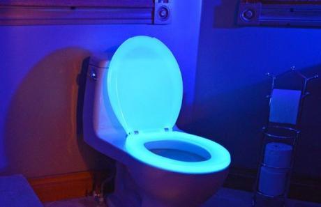 Top 10 Amazing and Unusual Toilet Seats