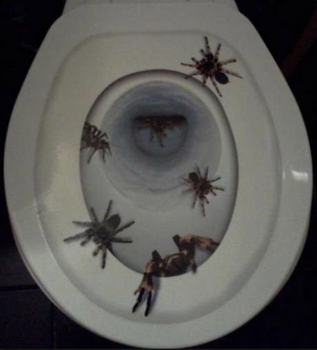 Top 10 Amazing and Unusual Toilet Seats