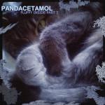Pandacetamol's Fluffy Inside 3