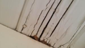 probestpest20150216_100044