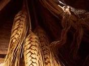 More Whole Grains Linked With Lower Mortality