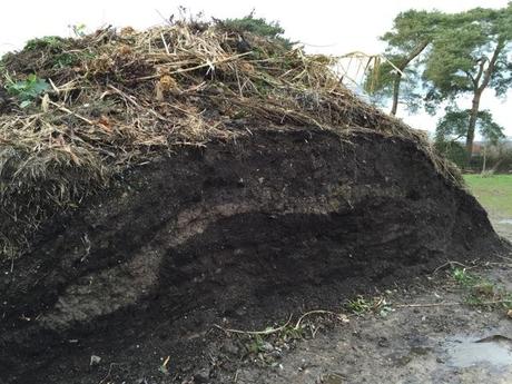 layers within compost heap