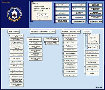 A CIA Organizational Chart from May 2009