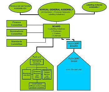 FLO Organizational Structure