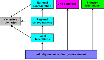 organization structure of the CNT