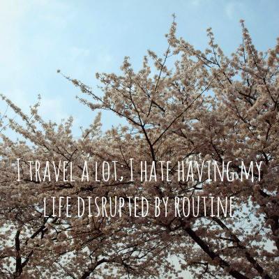 Travel Quote