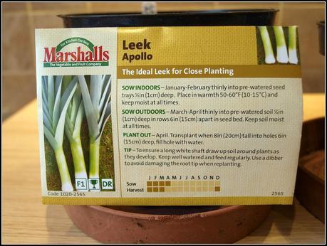 Sowing Leeks