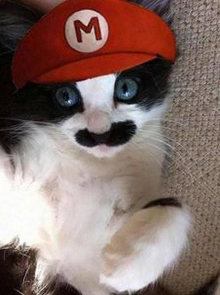 Top 10 Animals Dressed as Super Mario