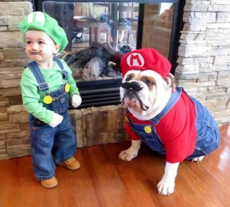 Top 10 Animals Dressed as Super Mario