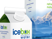 Scared Water Effects BPA? Refresh Naturally Premium Icebox