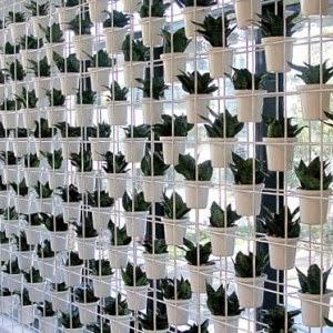 The Benefits of Indoor Plants in Office Spaces