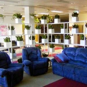 The Benefits of Indoor Plants in Office Spaces