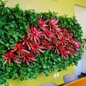 The Benefits of Indoor Plants in Office Spaces