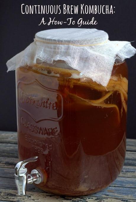 Continuous Brew Kombucha: A How-To Guide