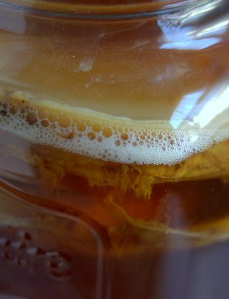 Continuous Brew Kombucha: A How-To Guide