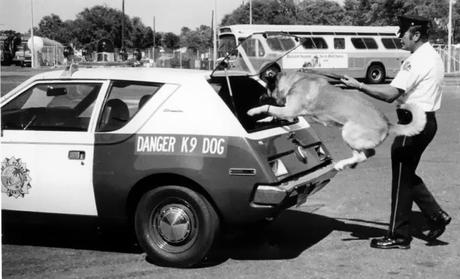 Inhumane treatment of a Police dog! There's no air conditioning in a Gremlin! Another reason to not respect cops