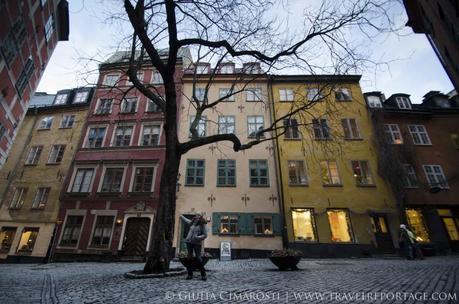Me and my tree friend in Gamla Stan, Stockholm