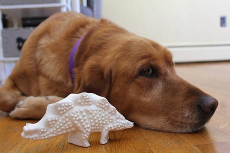 How a Dinosaur Can Help Keep Your Dog's Teeth Clean