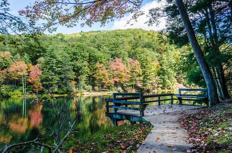 Watoga State Park Fishing Dock